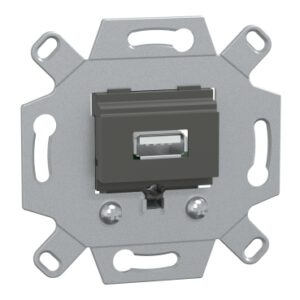 Розетка USB 2.0 Schneider Electric