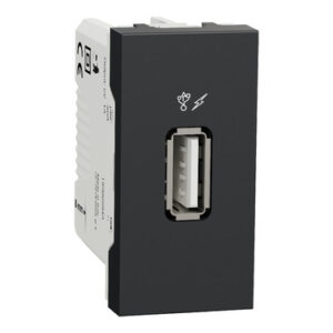 USB розетка Schneider Electric NU342854 1М (антрацит)